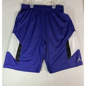 Nike Air Jordan Men's Purple Dri-Fit Durasheen Basketball Shorts Size XL